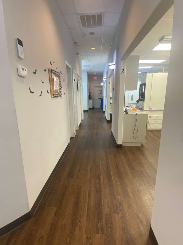 Reception area at Meadows Dental Care